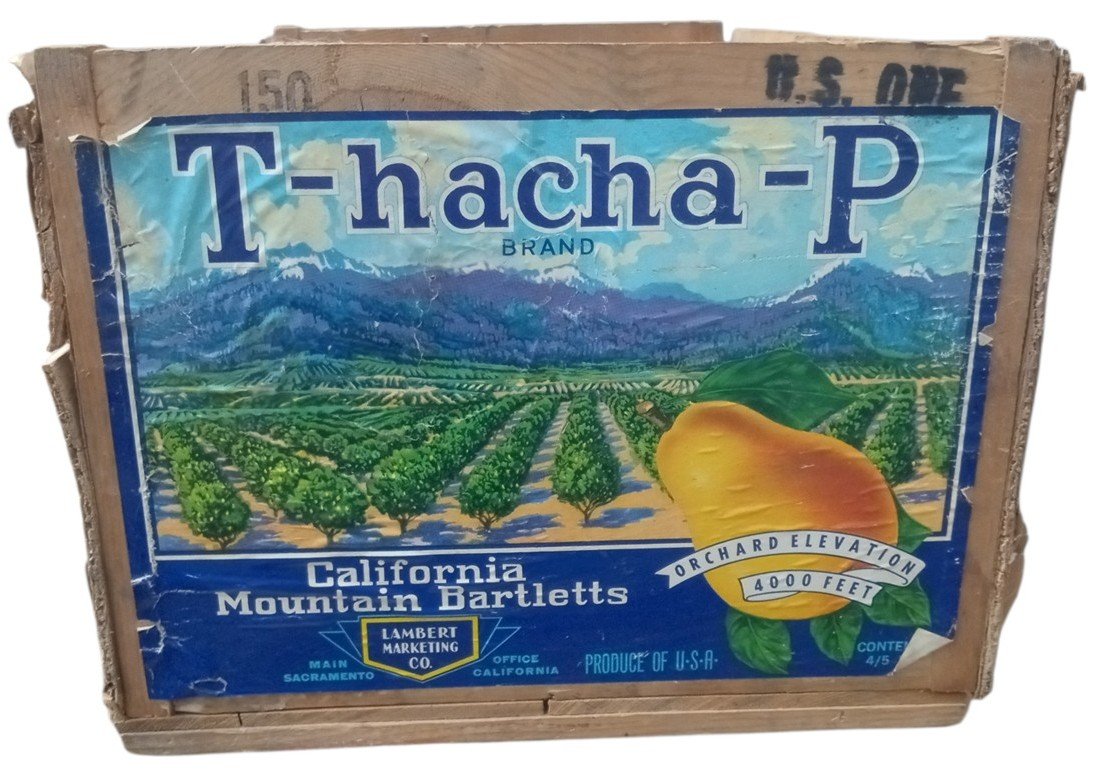 Tehachapi Wooden Fruit Crate Vintage Collectible Decorative Rustic Storage