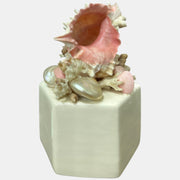 Charming Vintage Seashell Music Box Hawaiian Wedding
