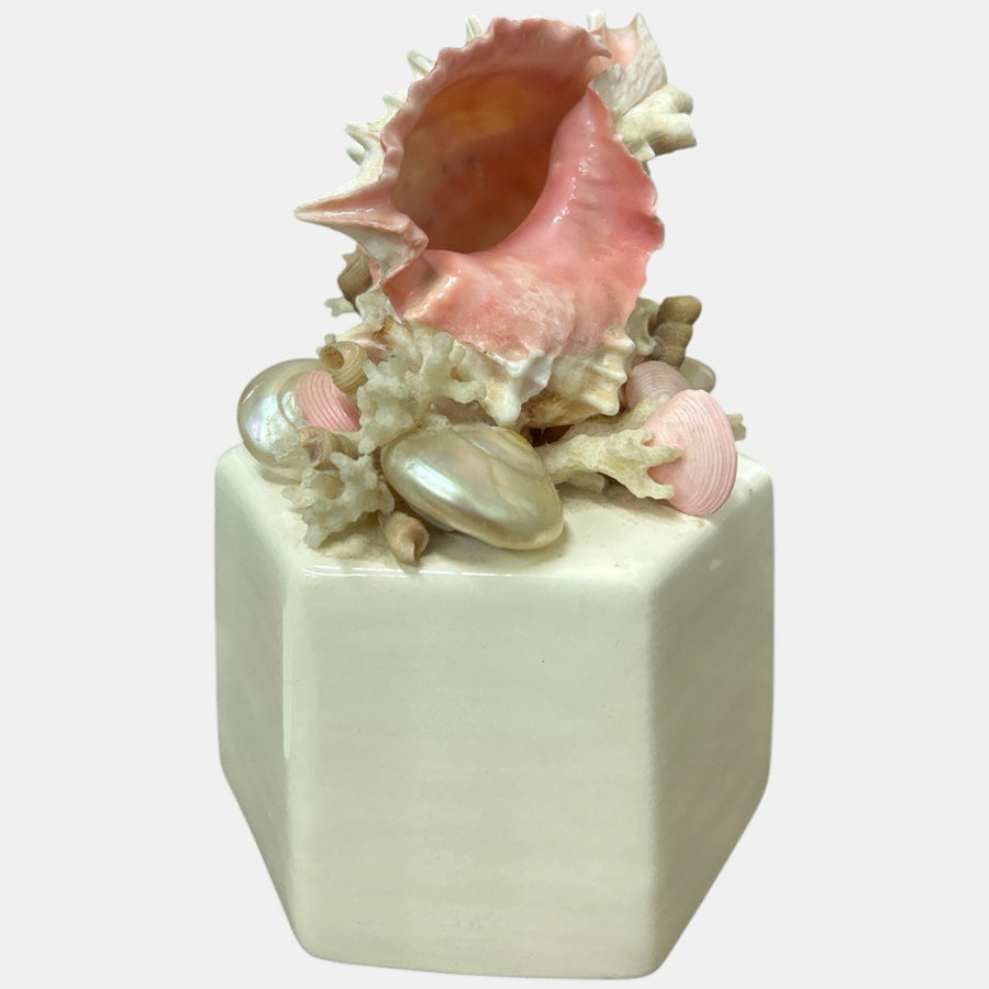 Charming Vintage Seashell Music Box Hawaiian Wedding