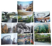 Idora Park Photo Prints 4"x6" Set Of 10 Collectible Nostalgic Ohio History