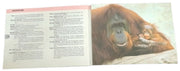 Canon T50 Manual & Products Guide 1980s Retro Collectible Photography Ephemera