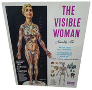 Renwal Visible Woman Anatomy Assembly Kit Likely 1960s Vintage Educational Model