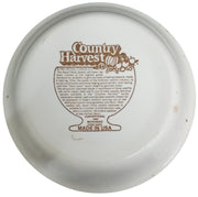 Royal China Co Country Harvest Apricot Orange Ice Cream Pie Plate 1983