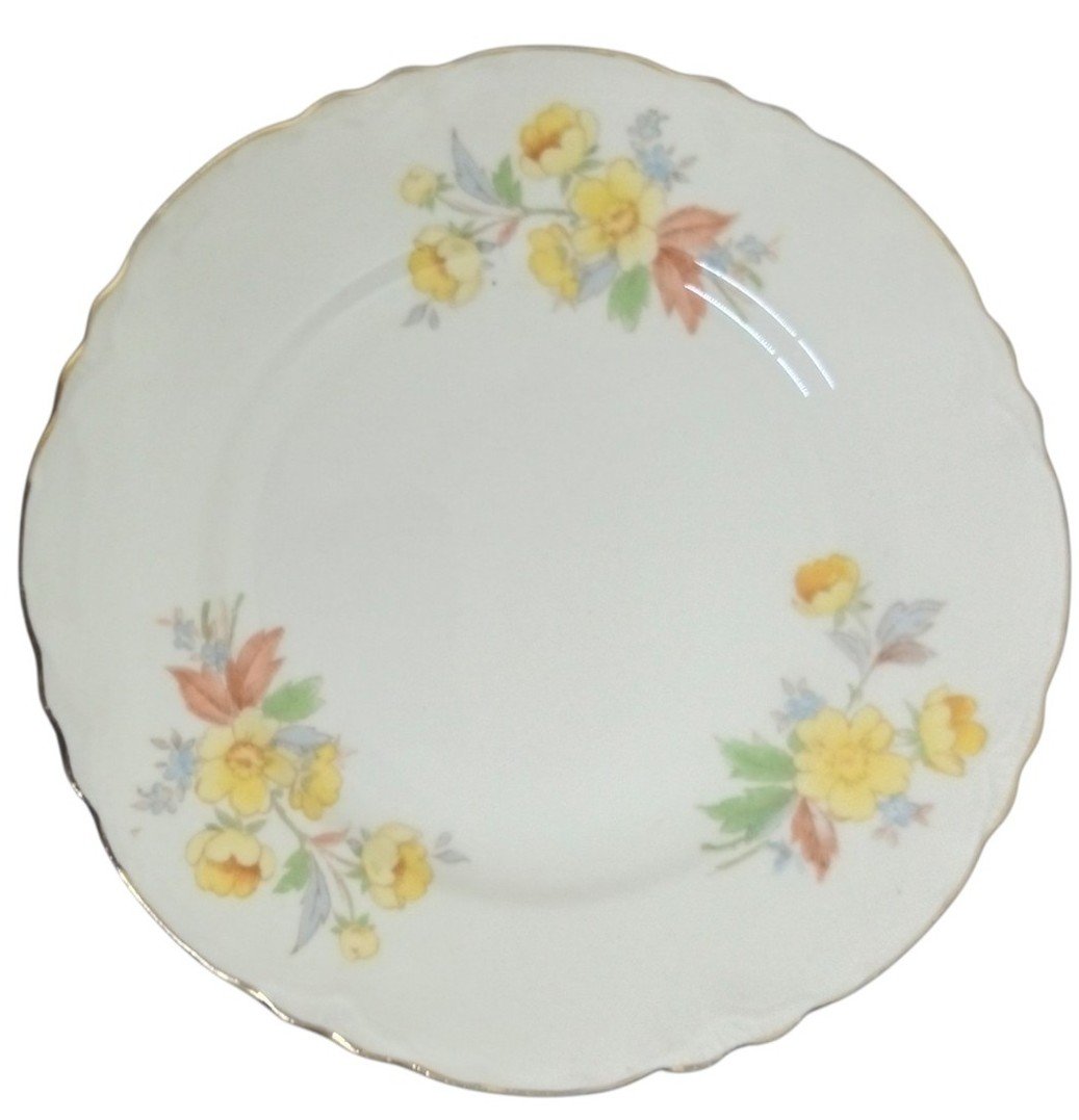 Homer Laughlin Susan Bread & Butter Plates Set Of 5 Likely 1950s Serveware