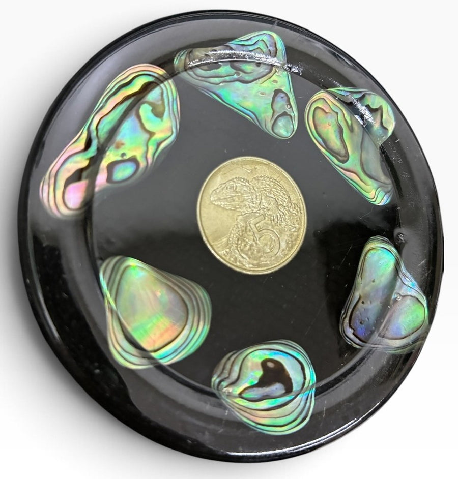 Midcentury New Zealand Coin and Paua (Abalone Shell) Coaster Set of Six Coasters