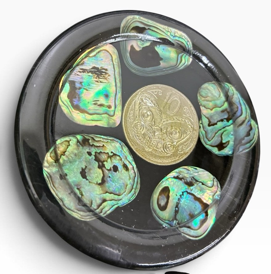 Midcentury New Zealand Coin and Paua (Abalone Shell) Coaster Set of Six Coasters