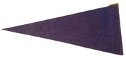 Silver Springs Florida Mini Pennant Likely 1950s Vintage Collectible Souvenir