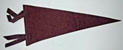 Vintage Radium Hot Springs B.C. Canada Maroon Red Felt Pennant