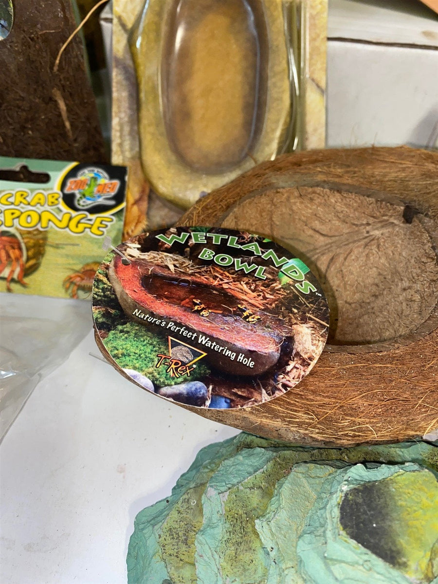 New Retile Frog Newt Chameleon Lizard Feeding Dish Stones Basking Platform More