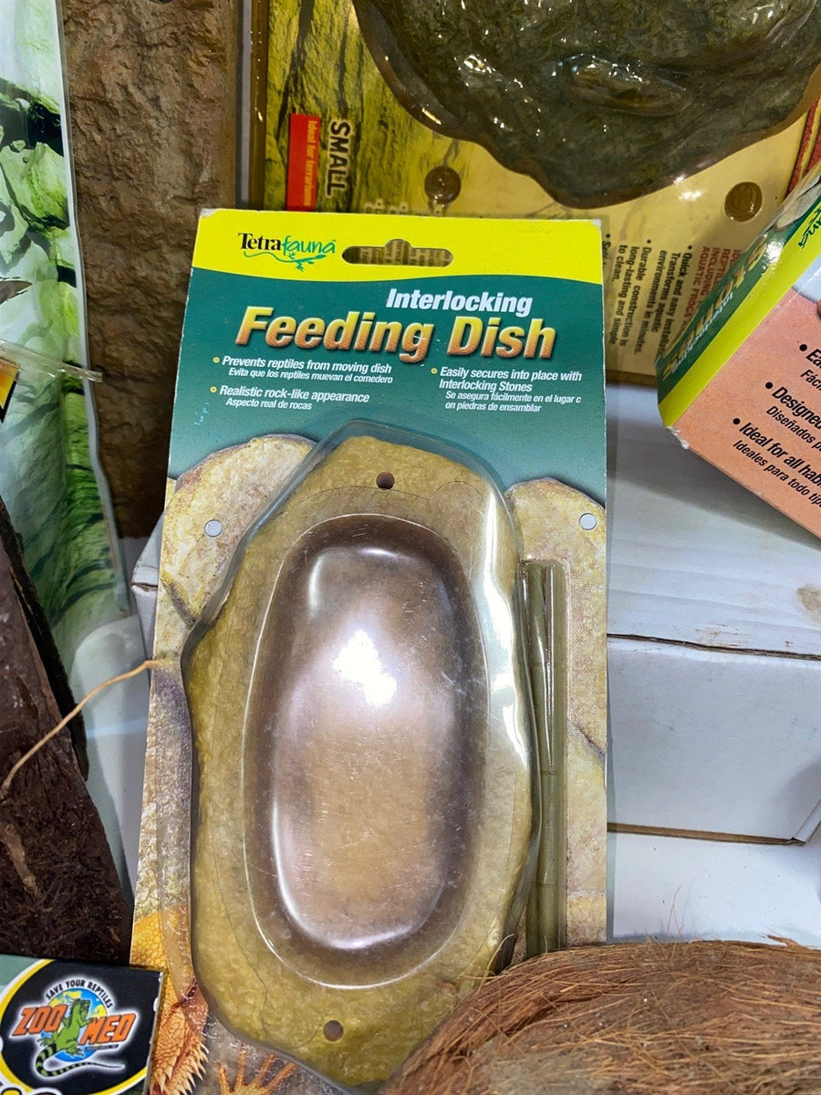 New Retile Frog Newt Chameleon Lizard Feeding Dish Stones Basking Platform More