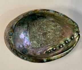 Polished Abalone Decorative Seashell , Trinket Bowl, Incense Burner