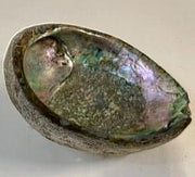 Polished Abalone Decorative Seashell , Trinket Bowl, Incense Burner