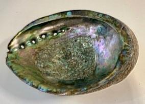 Polished Abalone Decorative Seashell , Trinket Bowl, Incense Burner