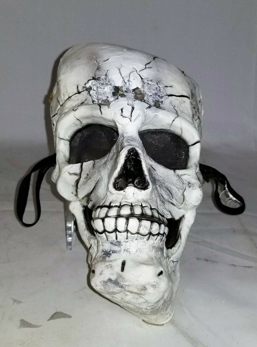 Vintage Realistic Skull Face Mask