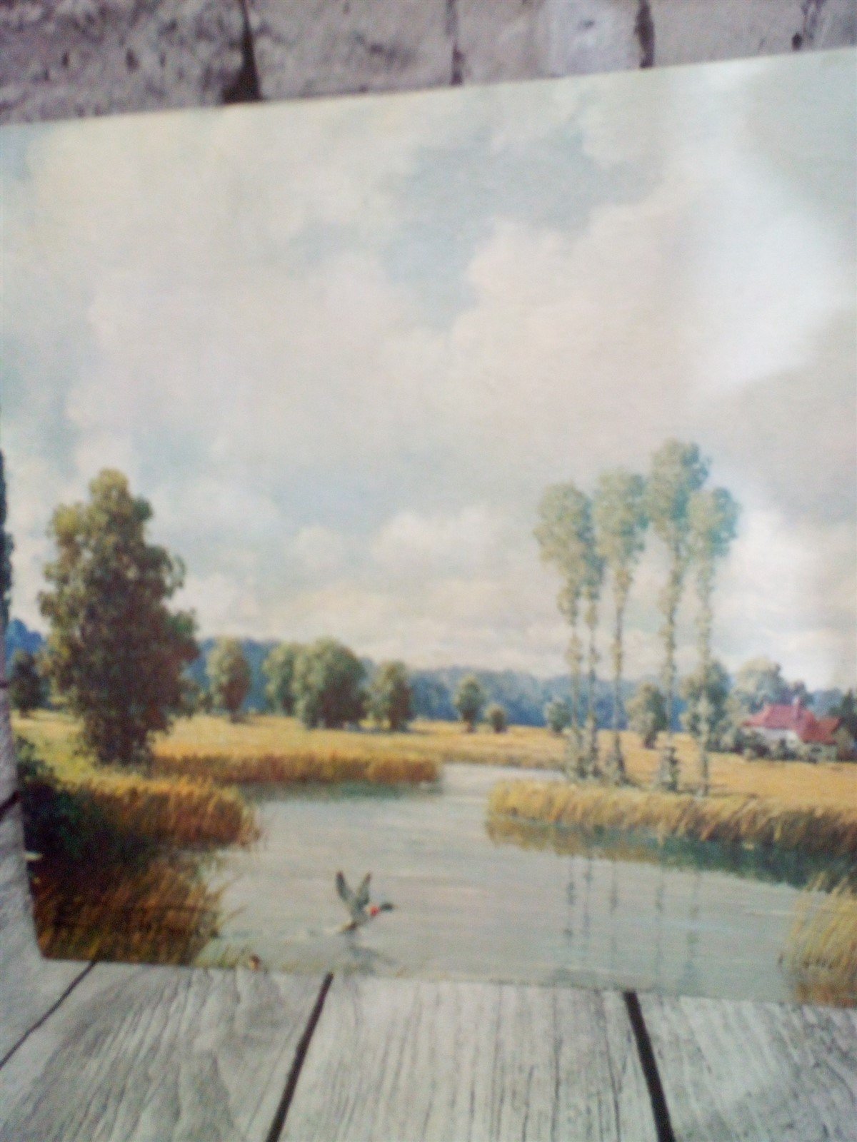 E Thomas Field and Stream Unframed Brushstroke Print Winde Fine Prints 20"x12"