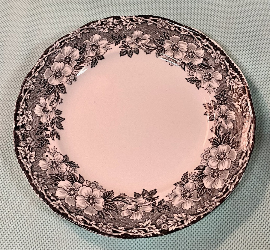 Single Vintage Enoch Wedgwood Malverne Pattern Plate