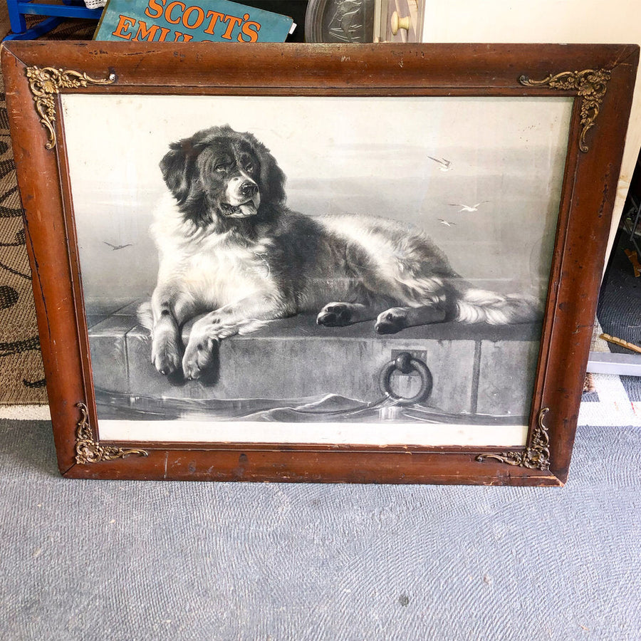 Antique Dog Picture / Print in Old Wood Frame