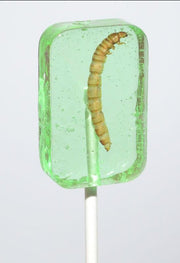 Real Worm Larvae Candy Sucker