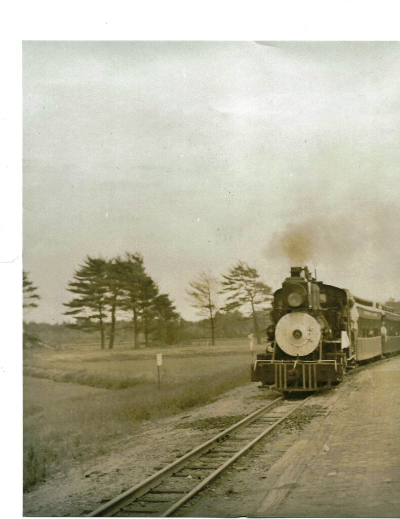Danville Train 1950's