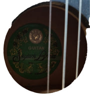 Skylark Brand Acoustic Guitar Vintage Collectible Musical Instrument