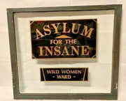 Antique Old Window Asylum for the Insane Wild Woman Ward Hospital