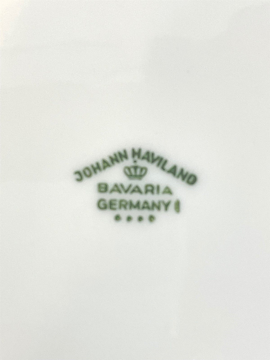 Vintage Johann Haviland Bavaria Forever Spring Germany China 90 Piece Dinner Set