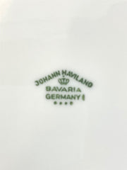 Vintage Johann Haviland Bavaria Forever Spring Germany China 90 Piece Dinner Set